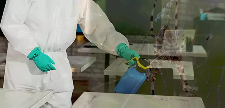 Why Buyers Still Want Homes With Pest Infestations in Albuquerque, NM?